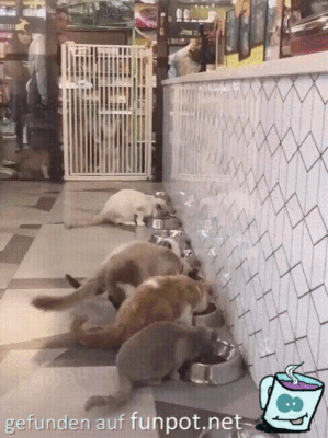 Weg da jetzt komme ich Weg da jetzt komme ich