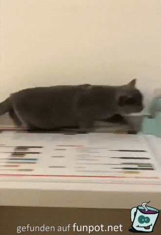 Da pass ich rein Da pass ich rein