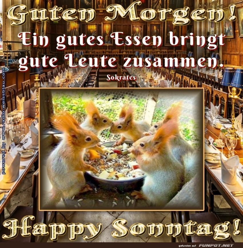 Eichh�rnchen im Gourmet-Club