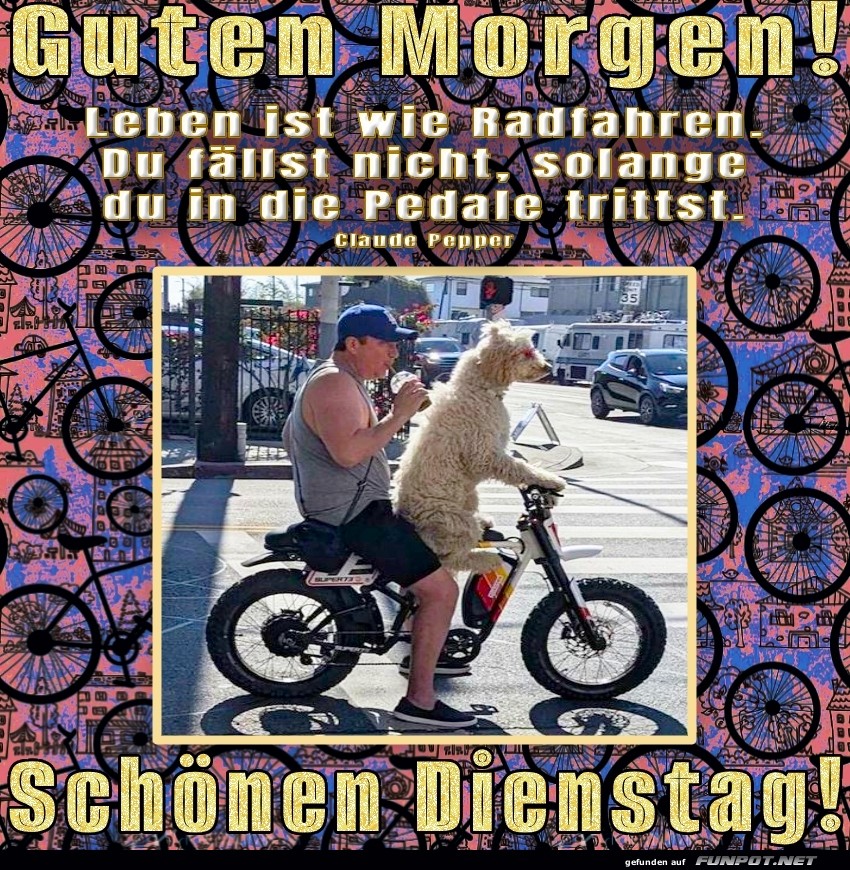 Fellnasige Fahrt in den Dienstag