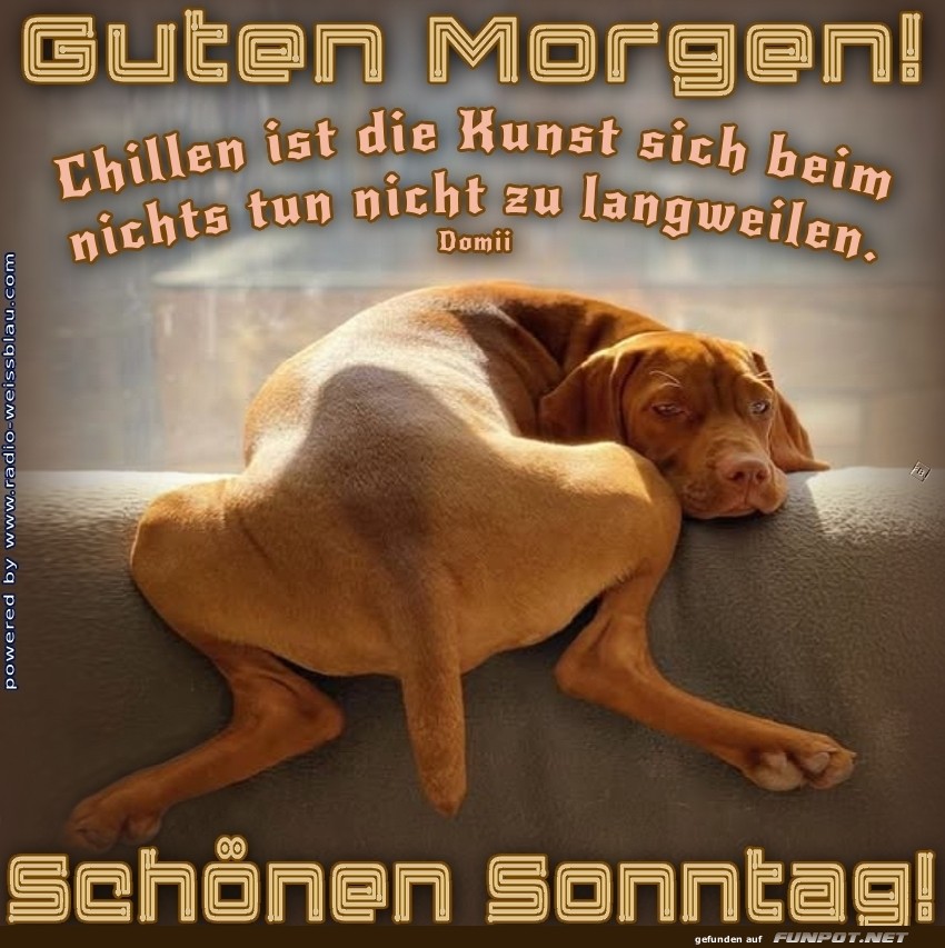 Wenn das Sofa der Chef ist!