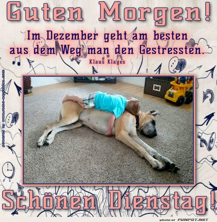 Dienstag-Motivation: Wenn der Hund die Woche f�hlt