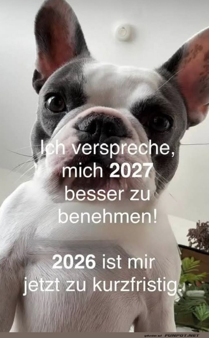 Neujahrsvors�tze: Hundes Edition