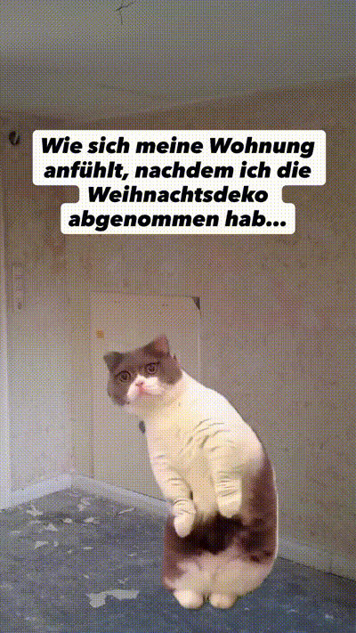 witzige animierte Bilder aus verschiedenen Blogs