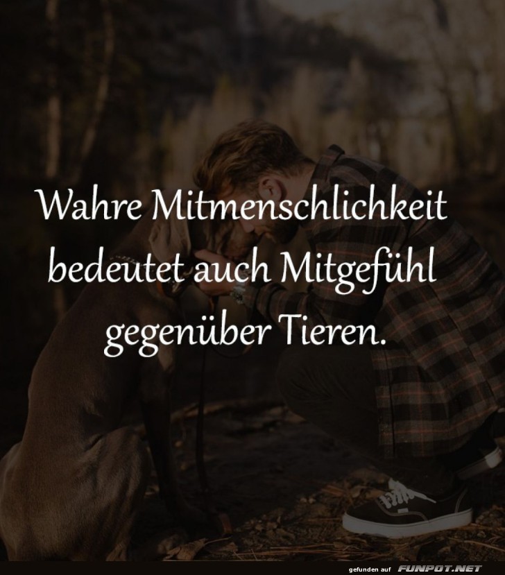 Tierische Empathie: Ein Mitgefühl-Selfie!