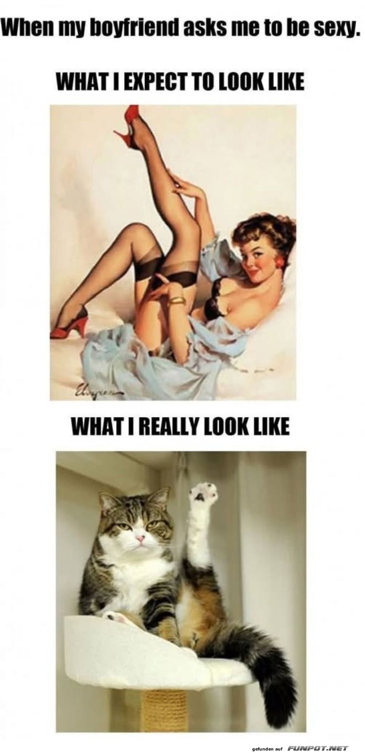 Vom Glamour zur Gem�tlichkeit