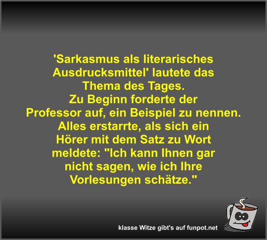 'Sarkasmus als literarisches Ausdrucksmittel' lautete das...