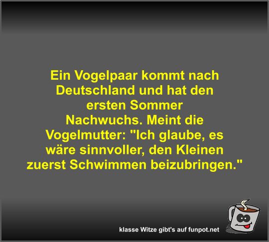 Ein Vogelpaar kommt nach Deutschland und hat den ersten...