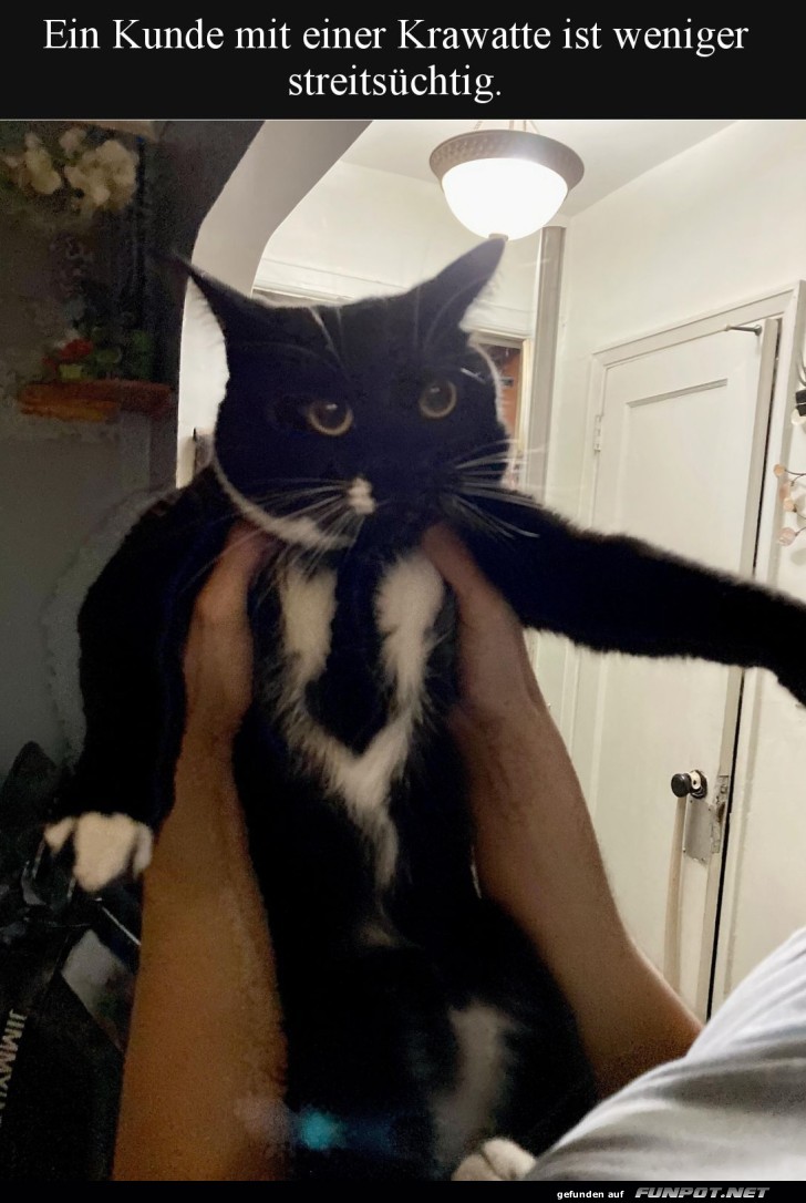 Krawatten-Cat: Business oder Spa�?