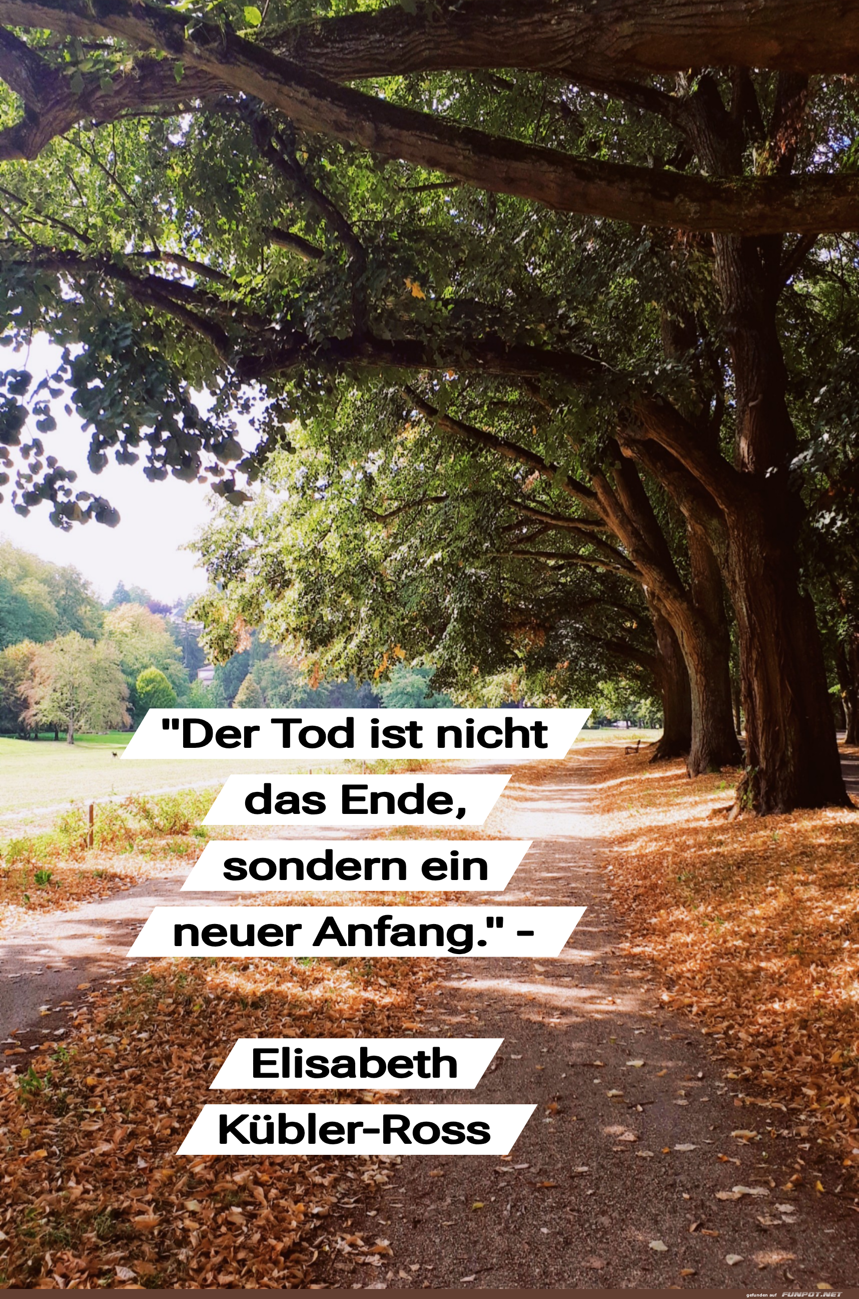 der tod ist nicht das ende