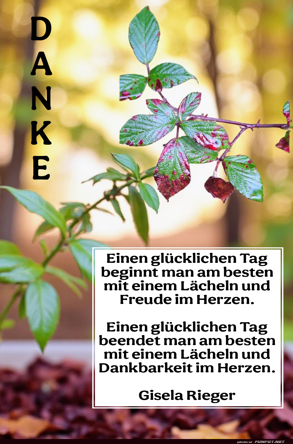 einen gl�cklichen tag