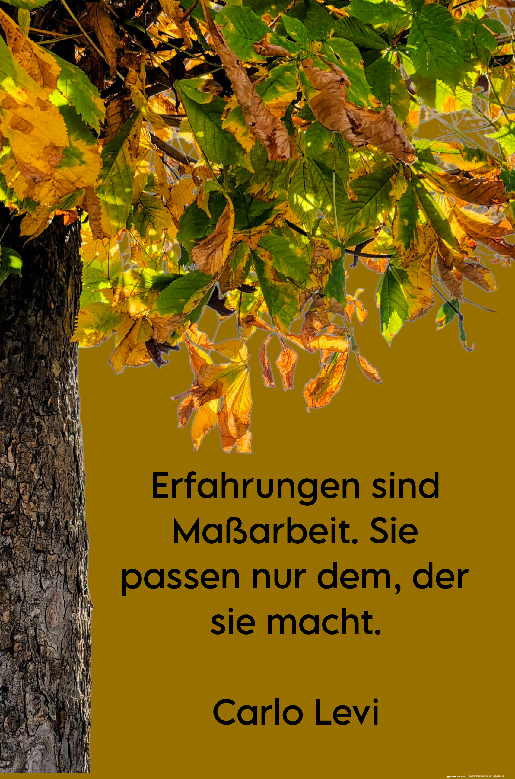 erfahrungen sind ma�arbeit