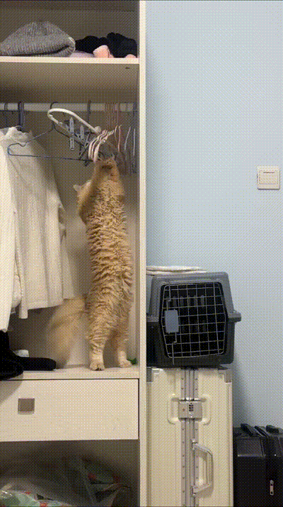 Training an den Kleiderb�geln