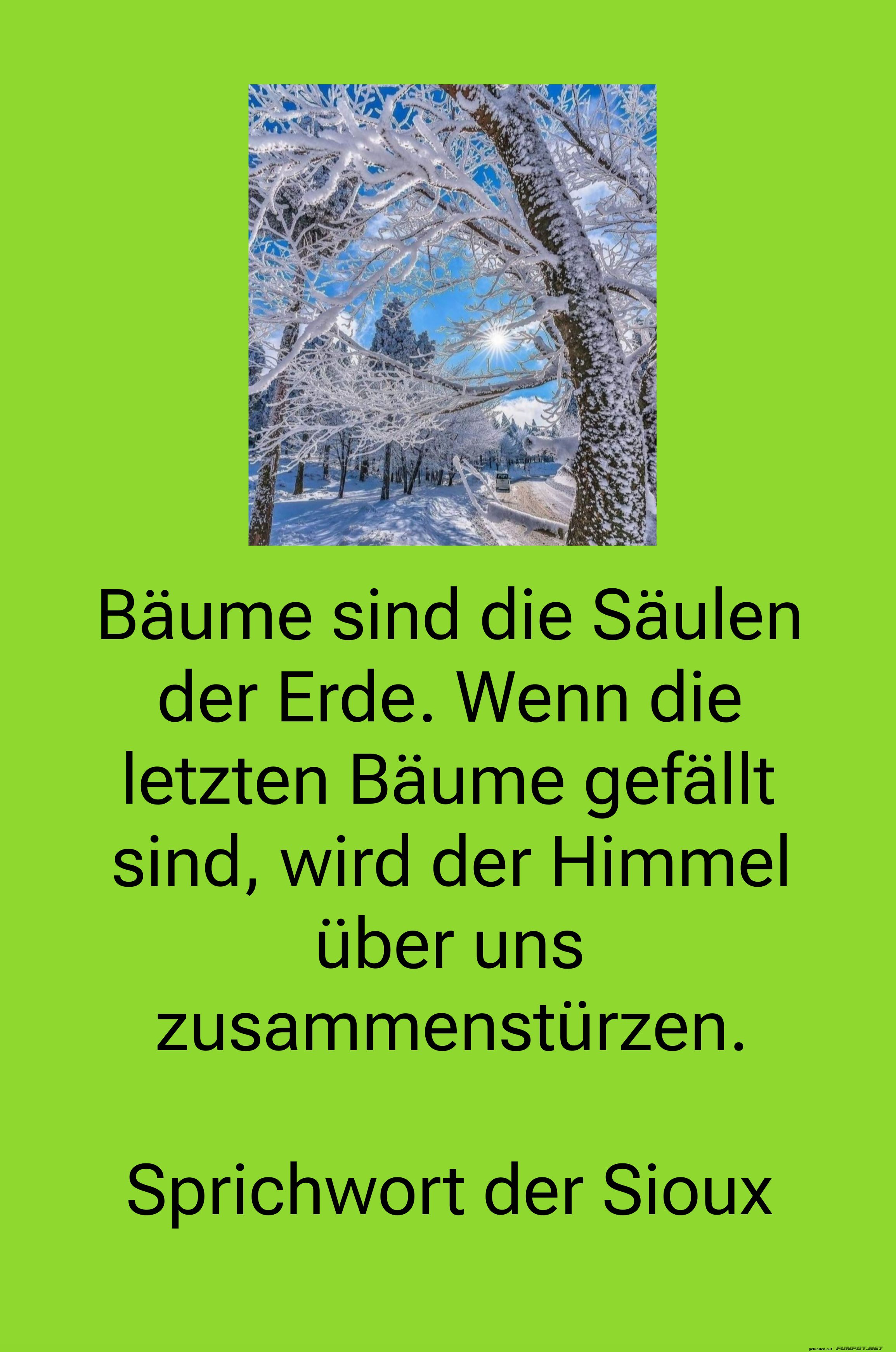 B�ume sind die S�ulen der Erde