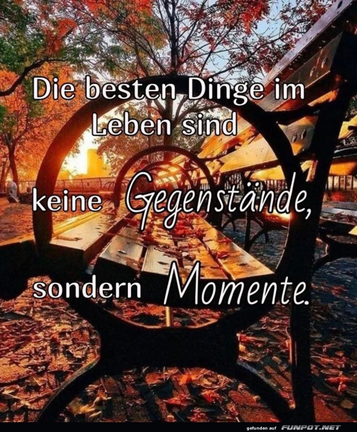 Ein Bank mit Aussicht... auf den Herbst!