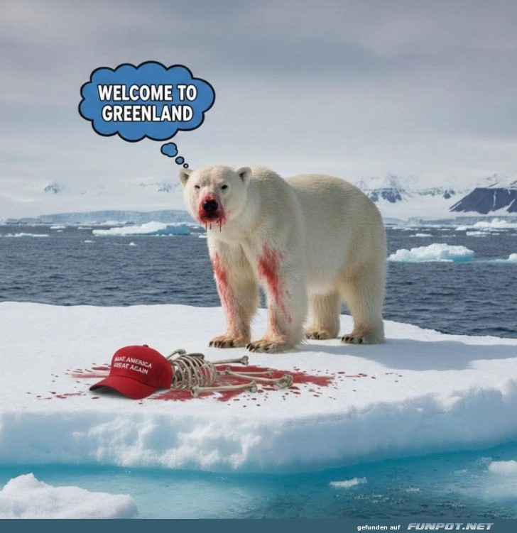 Eisb�ren-Visum abgelehnt!