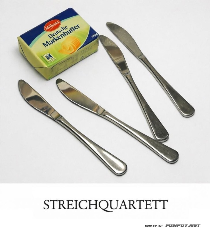 Ein Streichquartett der anderen Art