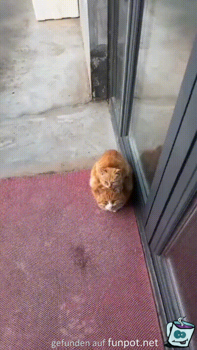 Gem�tliches Pl�tzchen gefunden