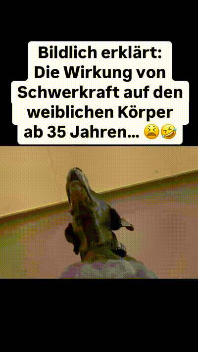 Die Schwerkraft