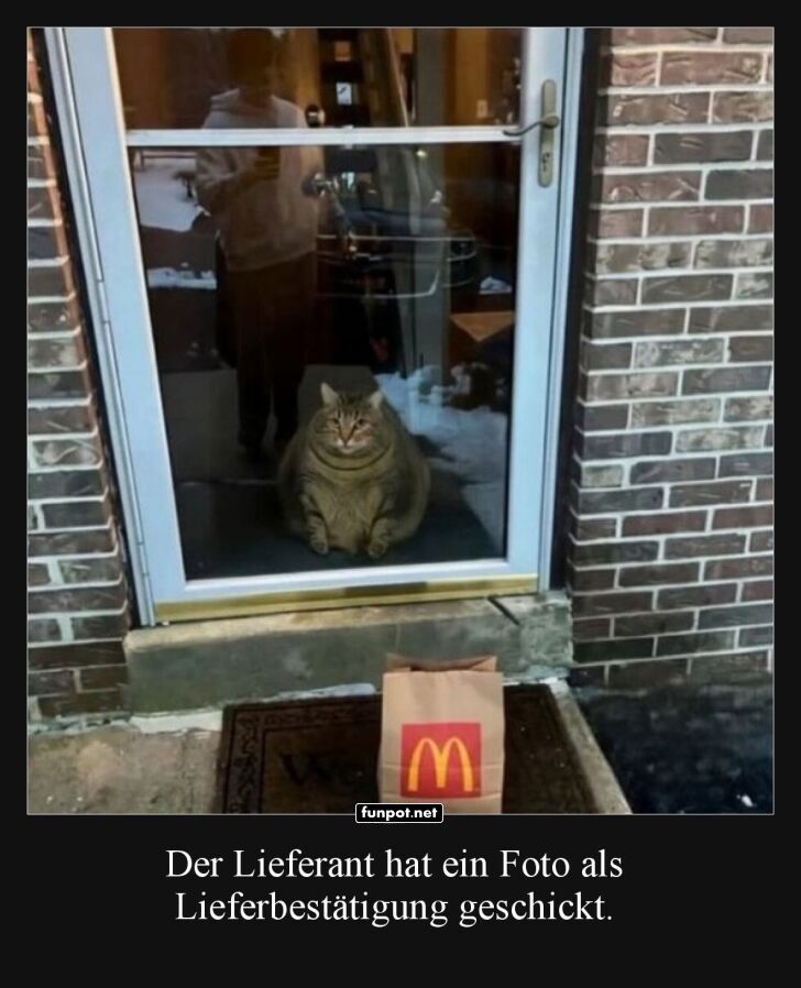 Lieferbest�tigung mit Katzengarantie