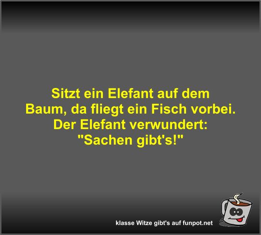 Sitzt ein Elefant auf dem Baum