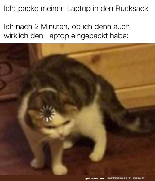 Wenn der Buffering-Kater zuschl�gt!