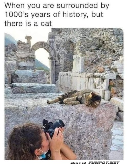 Katze schl�gt Ruinen: Top Sehensw�rdigkeit!