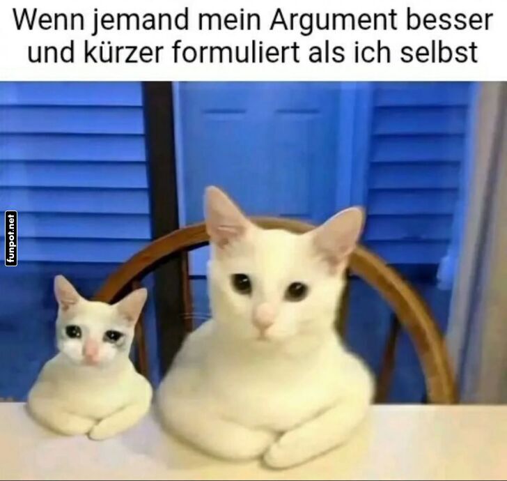 Katziges Kurzargument!