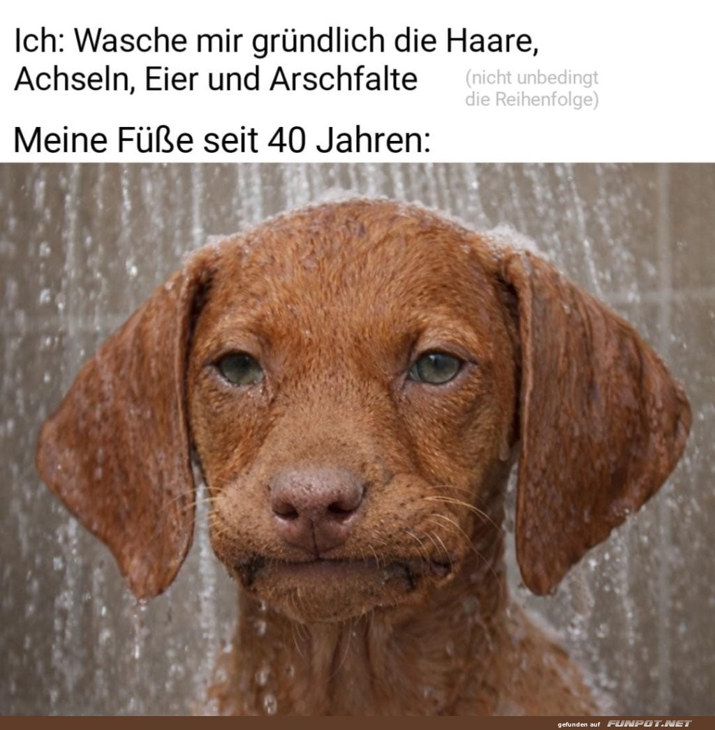 Der vergessene Fu�wasch-Pakt