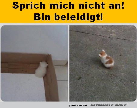 Sprich mich nicht an