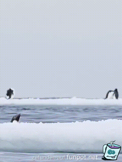 Was f�r ein Sprung