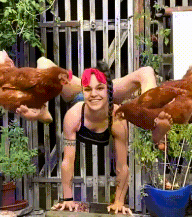 Alle Achtung Alle Achtung