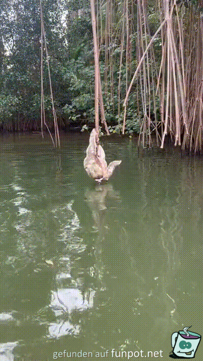 So kann man auch was trinken So kann man auch was trinken