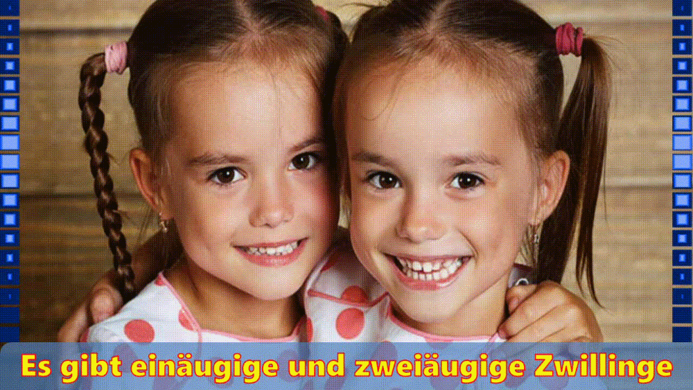 Die anderen Zwillinge Die anderen Zwillinge