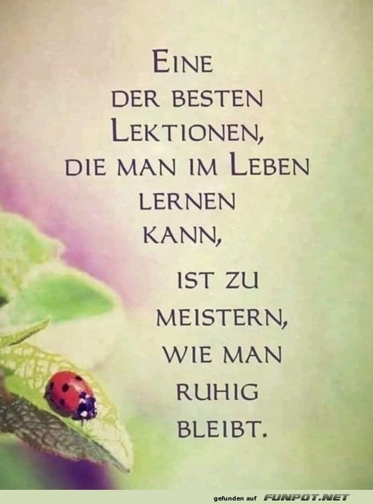 Marienk�fer-Meisterklasse: Bleib ruhig!