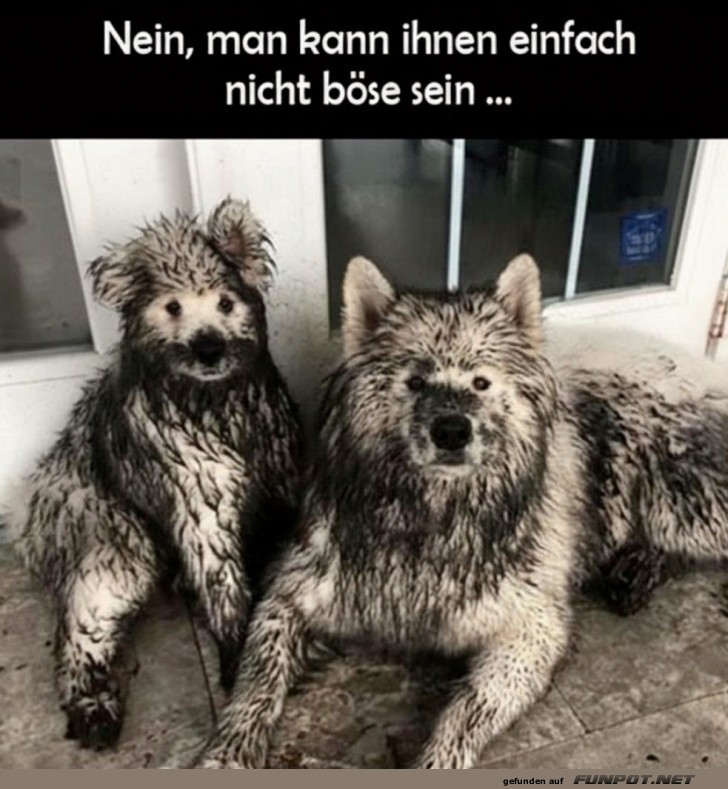 Matschige Meisterwerke: Wer kann da böse sein?