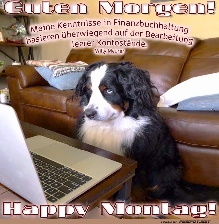 Der Buchhaltungshund startet durch