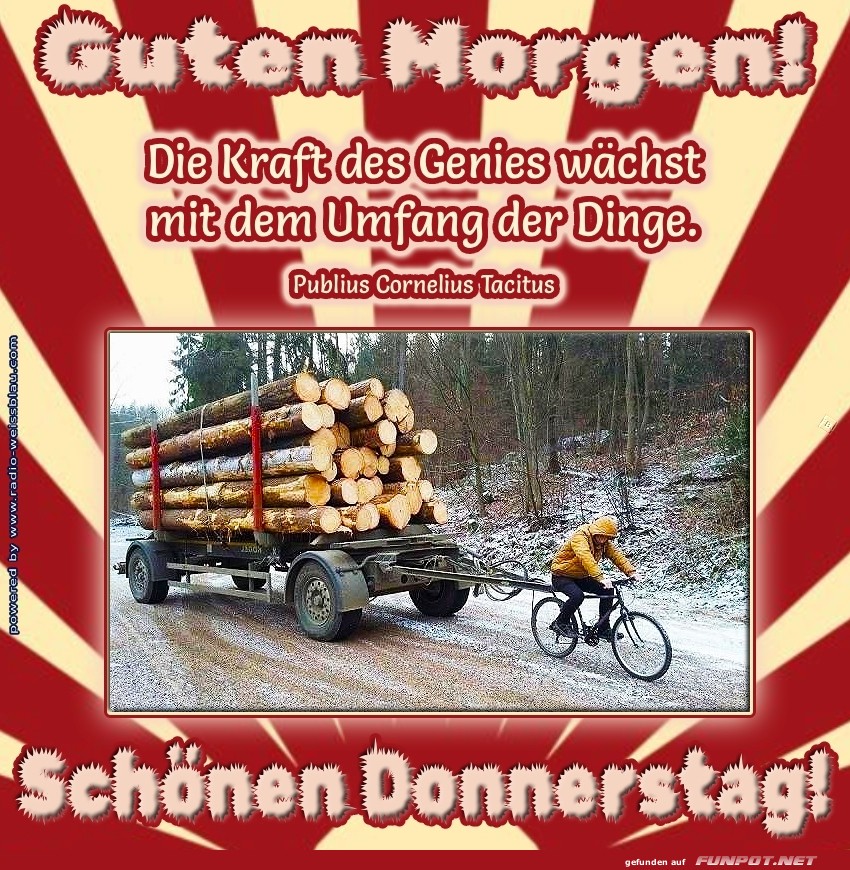 Holztransport mal anders!