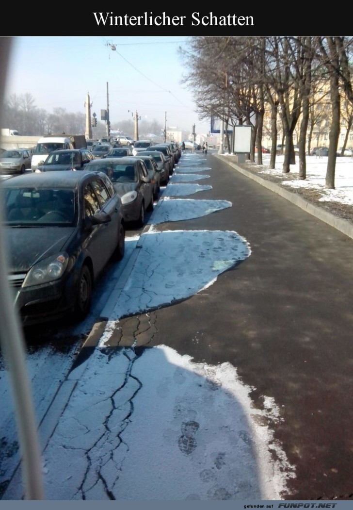 Autos im Schnee: Meisterwerk der Natur