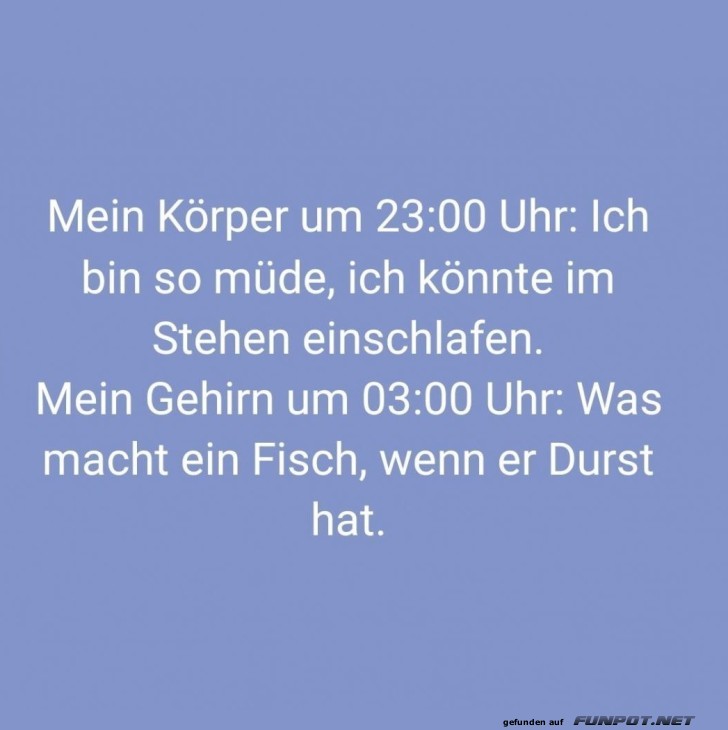 Nachts im Kopf: Der Fisch und sein Durst