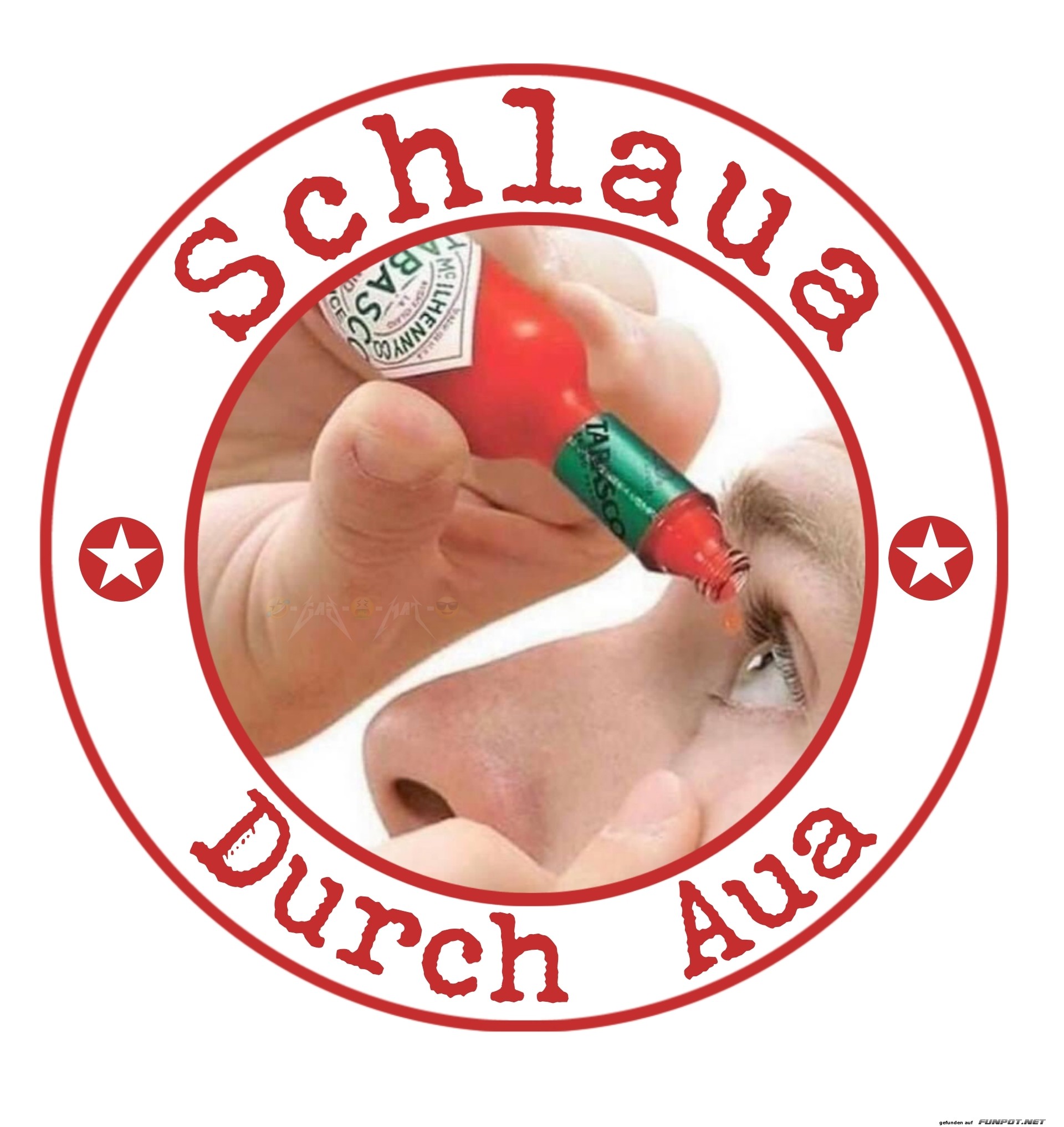 Schlauer