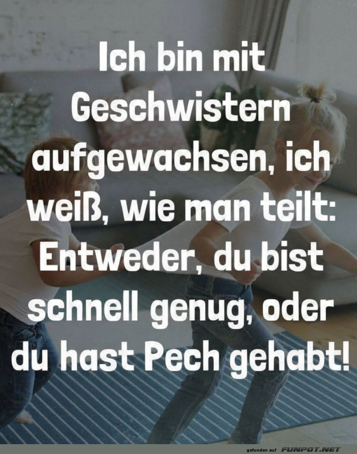 Geschwister teilen: Ein �berlebensguide!