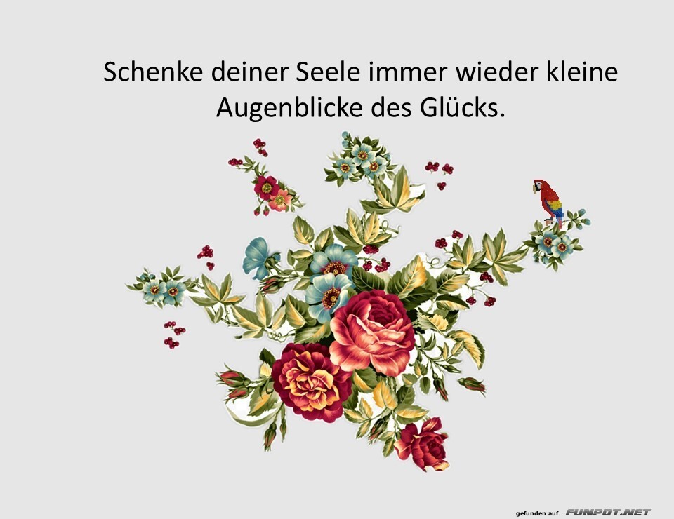 Schenke deiner Seele