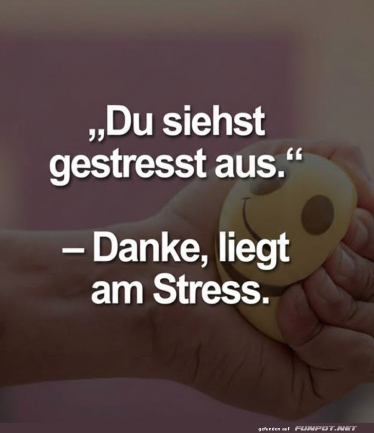 Stressball 101: Das wahre Hilfsmittel