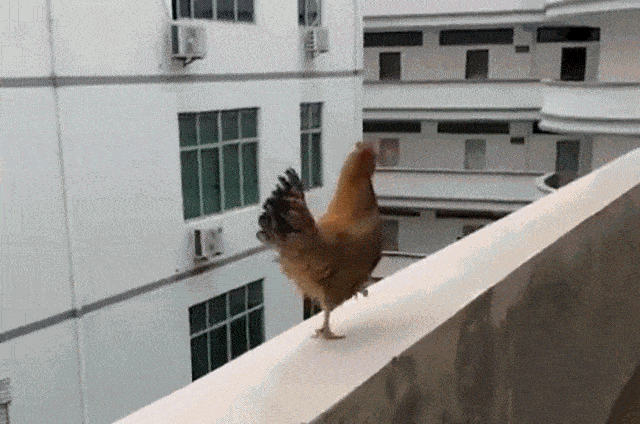 Ich flieg mal da r�ber