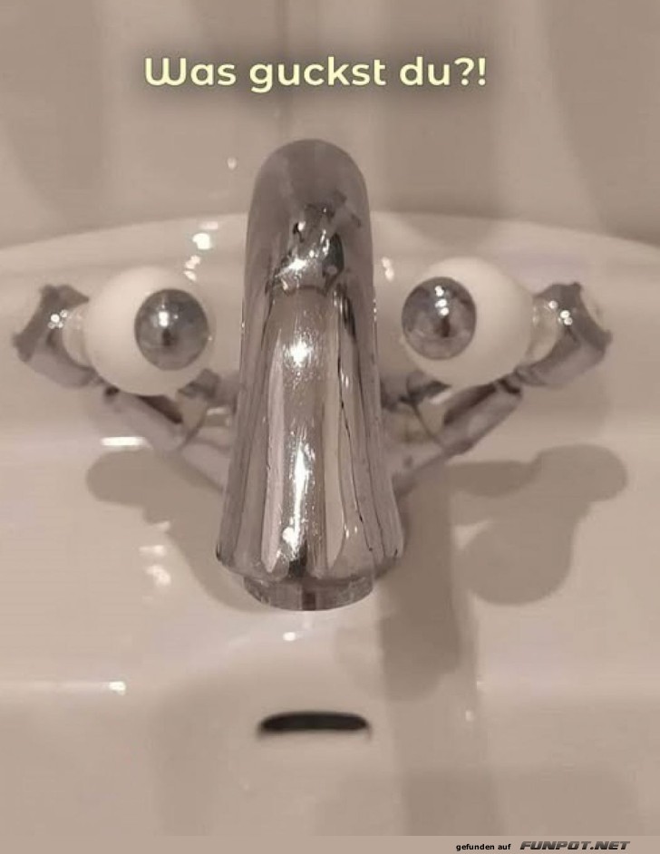 Der grantige Badezimmer-W�chter!