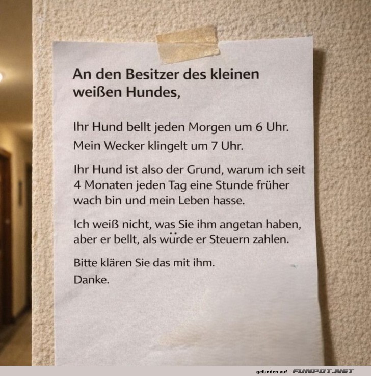 Fr�he V�gel oder laute Hunde?