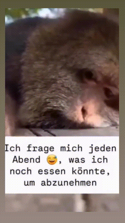witzige animierte Bilder aus verschiedenen Blogs