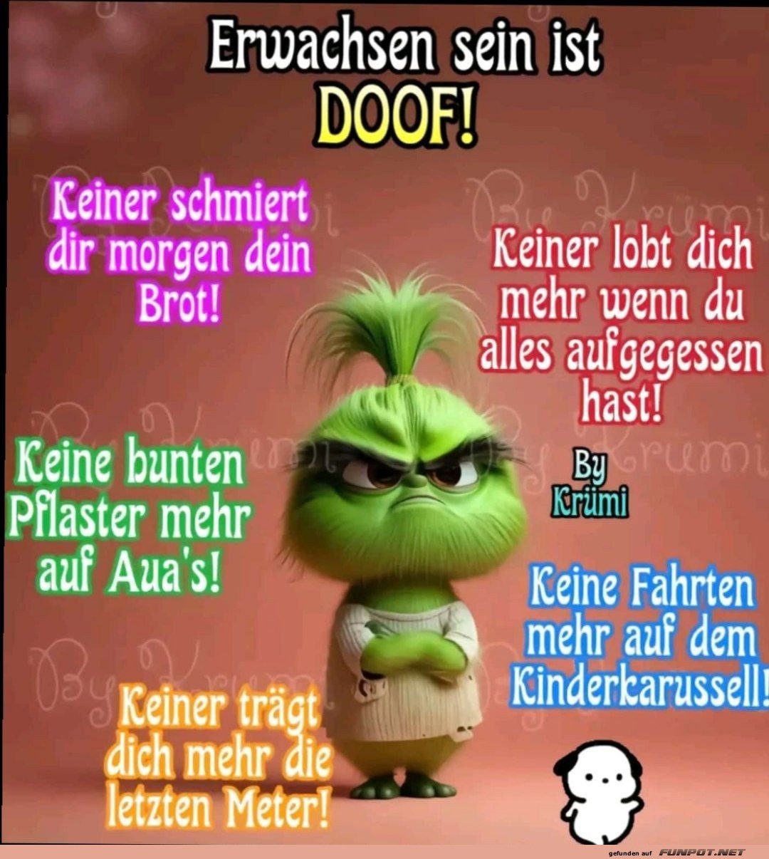 Das Erwachsenwerden - Erwartungen vs. Realit�t