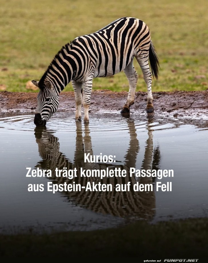 Geheimnisse im Zebrafell entschl�sseln!